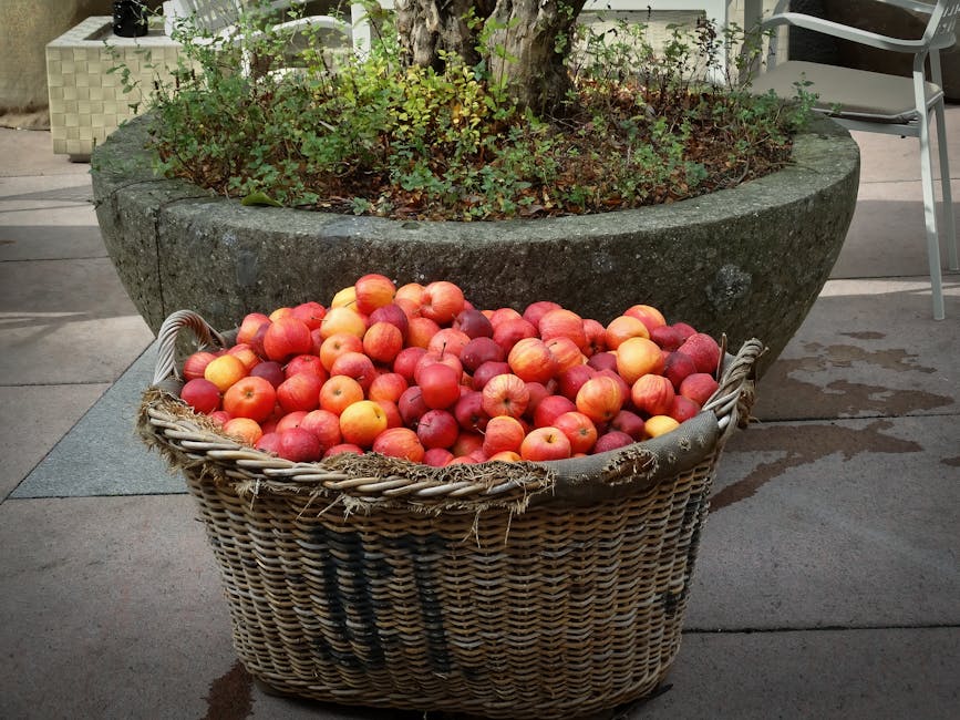 Panier en osier rempli de pommes fraîches